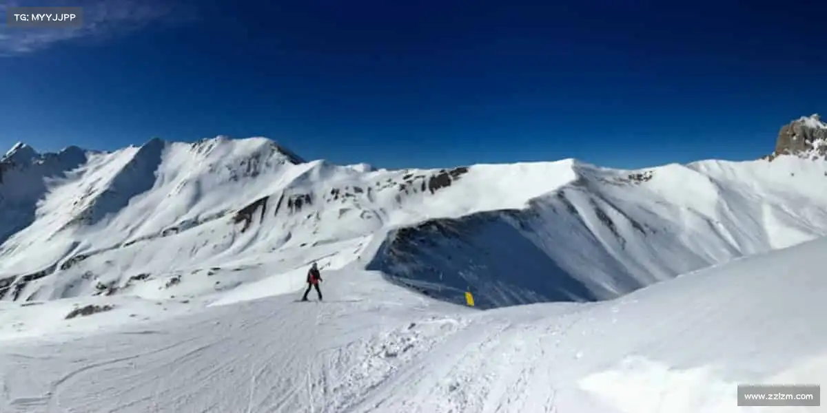 行业领先的理由